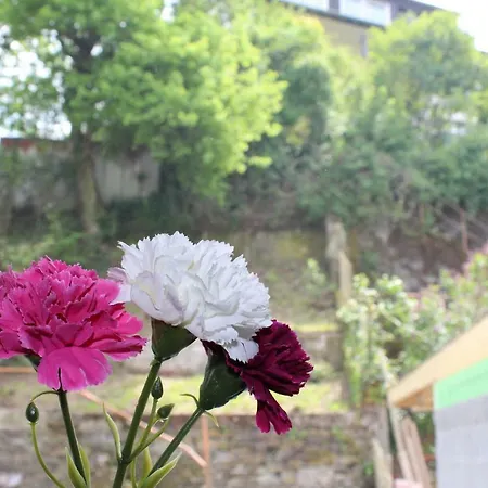 Apartment Haus Anne Cochem