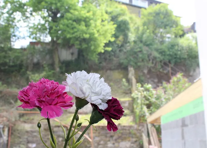 Appartamento Haus Anne Cochem